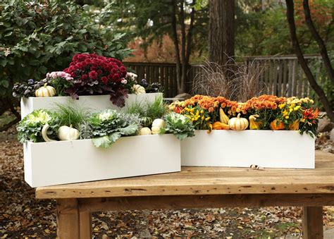 Our Best Tips for Creating Beautiful Fall Window Boxes